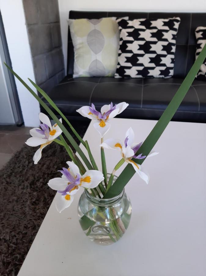 Loft Del Barranco Apartment Колония дел Сакременто Екстериор снимка